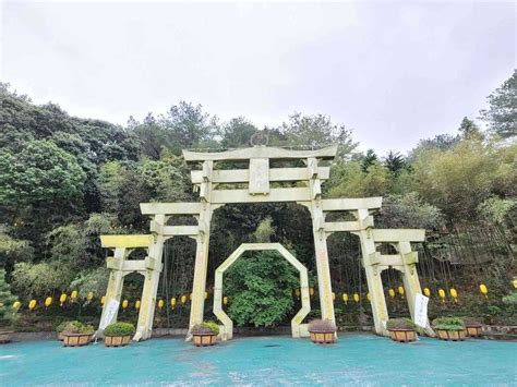 禪機山|南投景點》禪機山仙佛寺．隱身南投國姓~處處充滿驚。